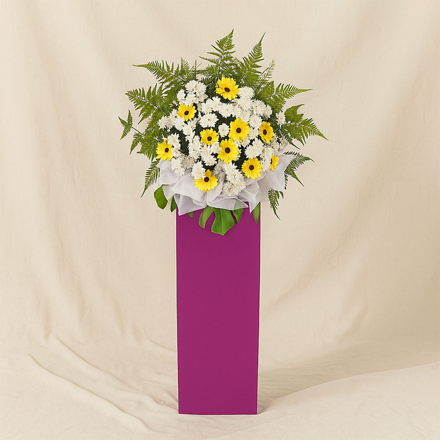 Yellow Gerberas White Pom In Beautiful Pink Stand