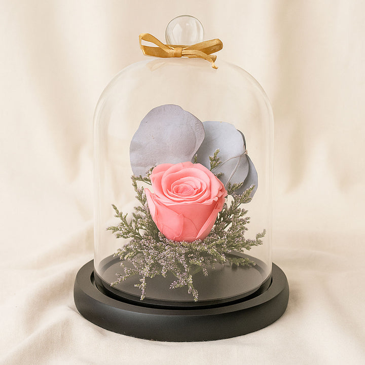 Beautiful Forever Rose In Glass Dome- Pink