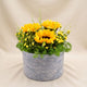 Bright Sunflowers Basket