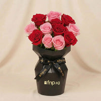 Roses Blush for Valentines Day
