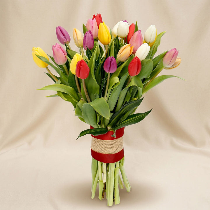 Twenty Five Vibrant Tulips Bunch