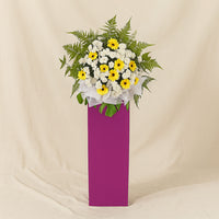Yellow Gerberas White Pom In Beautiful Pink Stand